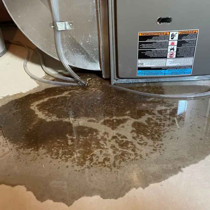 Pipe Burst and Leak Restoration in Seven Hills, OH