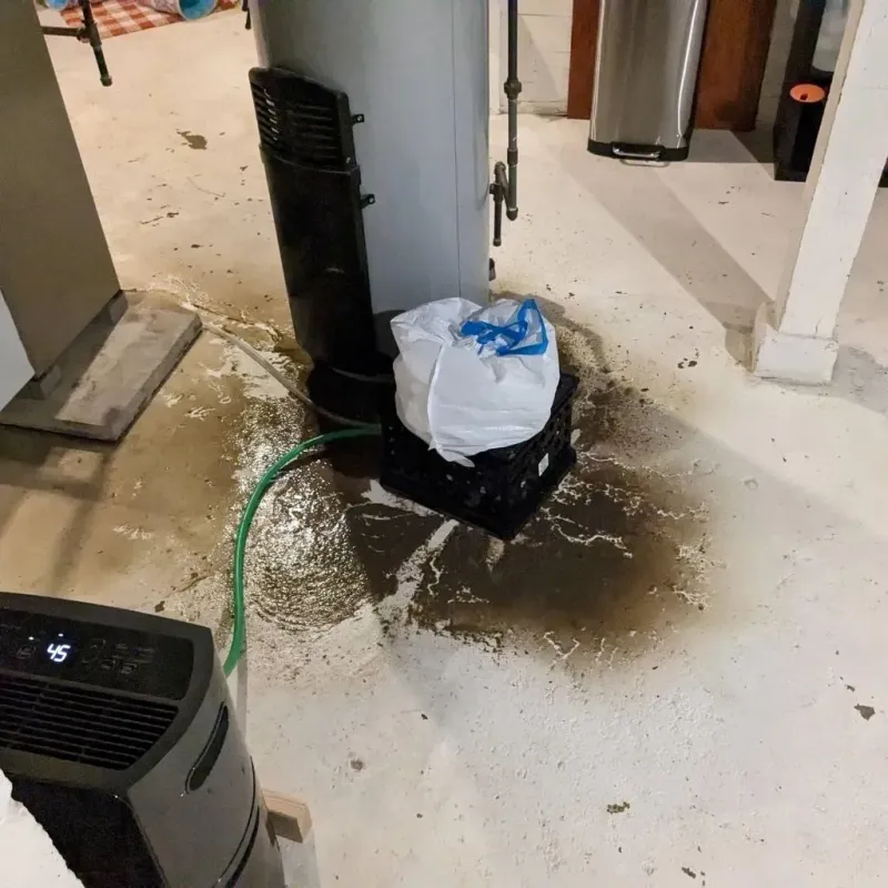 Sewage Backup Cleanup Service in Seven Hills, OH